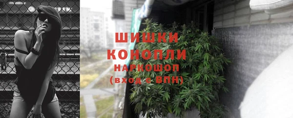 бошки Каменногорск