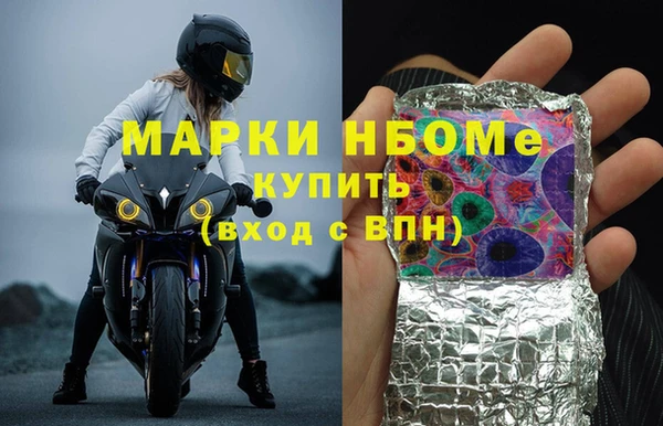 прущие грибы Каменка