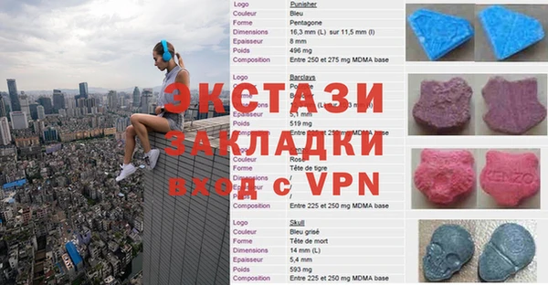 ешки Инта