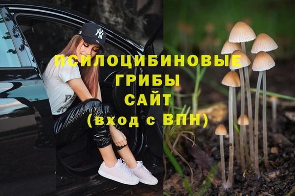 твердый Иннополис