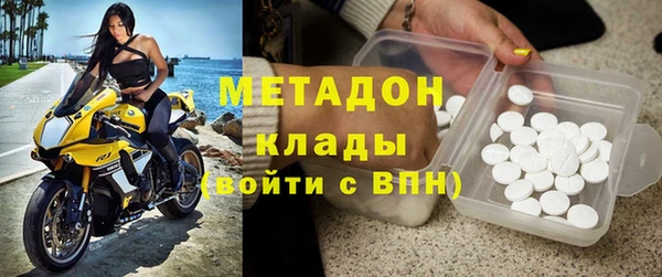 прущие грибы Каменка