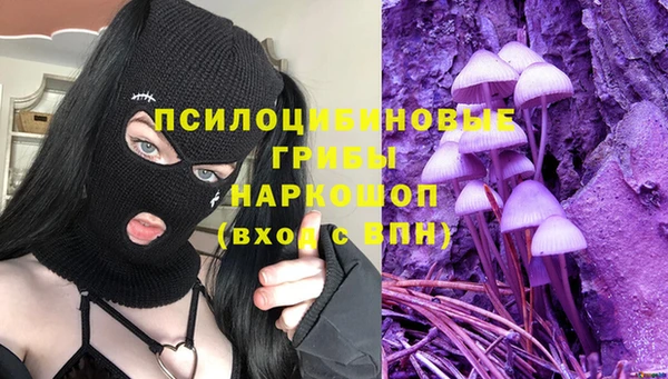 МДМА Инсар
