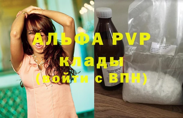 ешки Инта